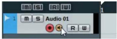 Im ISI IRIWI 1 m S Audio 01 R W