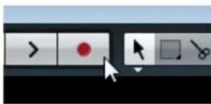 Software toolbar interface with selection buttons and a cursor hovering over a red dot