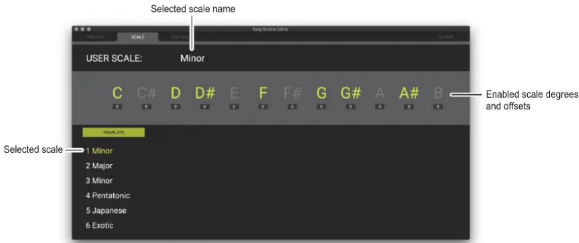 Selected scale name USER SCALE: Minor C C# D D# E F F# G G# A A# B 0 0 0 0 0 0 0 0 0 0 0 0 0 Enabled scale degrees and offsets TEMPLATE 1 Minor 2 Major 3 Minor 4 Pentatonic 5 Japanese 6 Exotic