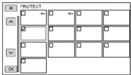 PROTECT OK
