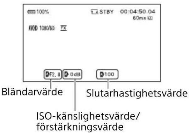 100% A STBY 00:04:50.04 60mn V/WD 1080/60 i FX F2.8 dB 100 Bländarvärde Slutarhastighetsvärde ISO-känslighetsvärde/ förstärkningsvärde