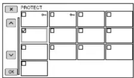 PROTECT OK