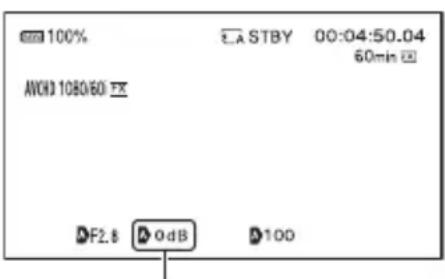 SONY HXR-NX80 - Paina ISO/GAIN-painiketta C. - 1