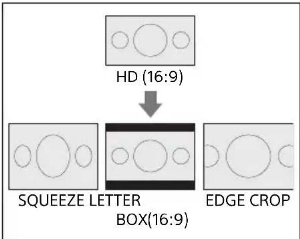 SONY HXR-NX80 - VIDEO OUT - 1