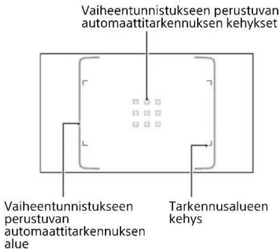 Vaiheentunnistukseen perustuvan automaattitarkennuksen kehykset Vaiheentunnistukseen perustuvan automaattitarkennuksen alue Tarkennusalueen kehys