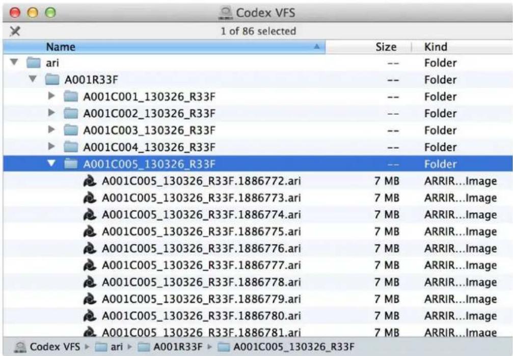 Codex VFS 1 of 86 selected Name Size Kind ▼ ari -- Folder ▼ A001R33F -- Folder ► A001C001_130326_R33F -- Folder ► A001C002_130326_R33F -- Folder ► A001C003_130326_R33F -- Folder ► A001C004_130326_R33F -- Folder ▼ A001C005_130326_R33F -- Folder A001C005_130326_R33F.1886772.ari 7 MB ARRIR...Image A001C005_130326_R33F.1886773.ari 7 MB ARRIR...Image A001C005_130326_R33F.1886774.ari 7 MB ARRIR...Image A001C005_130326_R33F.1886775.ari 7 MB ARRIR...Image A001C005_130326_R33F.1886776.ari 7 MB ARRIR...Image A001C005_130326_R33F.1886777.ari 7 MB ARRIR...Image A001C005_130326_R33F.1886778.ari 7 MB ARRIR...Image A001C005_130326_R33F.1886779.ari 7 MB ARRIR...Image A001C005_130326_R33F.1886780.ari 7 MB ARRIR...Image A001C005_130326_R33F.1886781.ari 7 MB ARRIR...Image Codex VFS ▶ ari ▶ A001R33F ▶ A001C005_130326_R33F
