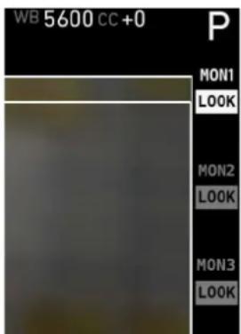 WB 5600 cc +0 MON1 LOOK MON2 LOOK MON3 LOOK