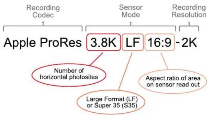 ARRI Alexa Mini LF - Recording Resolution - 1