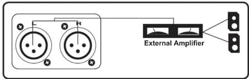 External Amplifier
