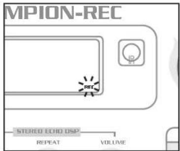 MPION-REC STEREO ECHO DSP REPEAT VOLUME