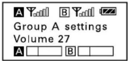 A Y□□□ □B Y□□□ □Z Group A settings Volume 27 A □□□ B □□