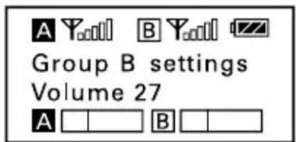 A Y...B Y...B Group B settings Volume 27 A B