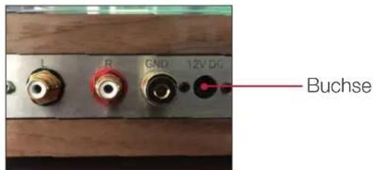 I R GND 12V DG Buchse
