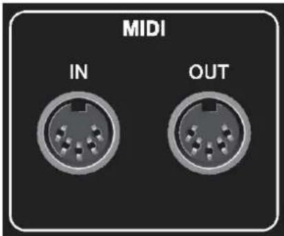 MIDI IN OUT