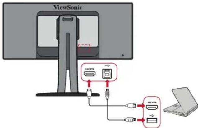 VIEWSONIC VP3481 - Ethernet-forbindelse - 3