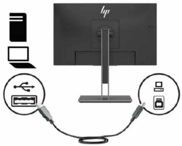 HP EliteDisplay E223d - Tilslutning af kablerne - 3