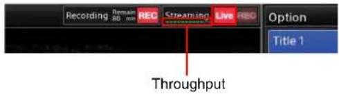 Recording 30 ms REC Streaming Live REC Option Title 1 Throughput