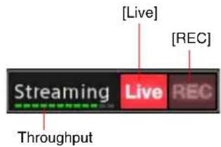 Streaming Live [Live] [REC] Throughput