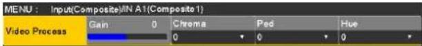 MENU : Input(Composite)IN A1(Composite 1) Video Process Gain 0 Chroma Pad Hue 0 0 0