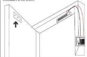 Steren SEG-035 - Plywood - 1