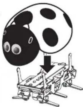 Steren K-715 - COLOCAR LOS OJOS Y LA CUBIERTA - 4