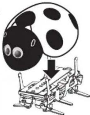 Steren K-715 - PLACING EYES AND COVER - 4