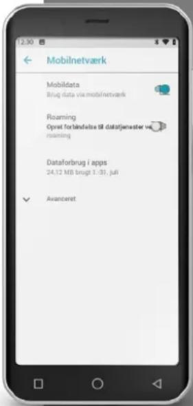 12:30 Mobilnetværk Mobildata Brug data via mobilnetværk Roaming Opret Torbindelva 58 datatjenaster ve 23 roaming Dataforbrug i apps 24.12 MB brugt 1 : 31, juli Avanceret