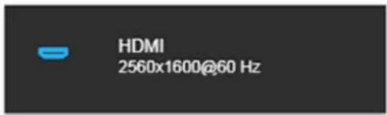 HDMI 2560x1600@60 Hz