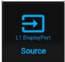 L1 DisplayPort Source