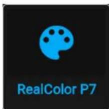 RealColor P7