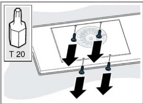 T 20
