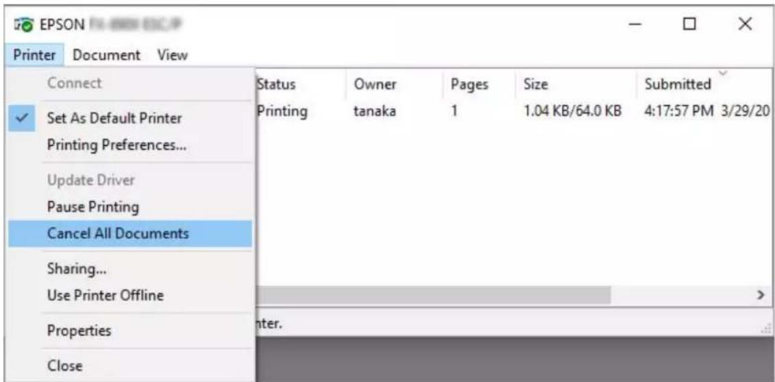 EPSON DLQ-3500IIN - Annullering af udskrivning - 1