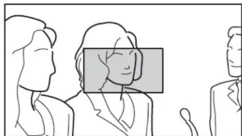 SONY HDVF-EL20 - To sharpen edges by specifying the display area - 1
