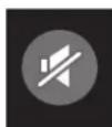 Anthem Integrated 225 - Mute: - 2