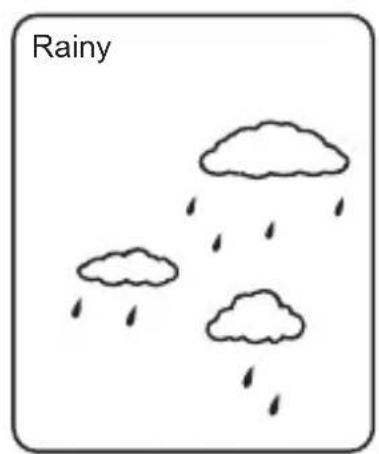 SENCOR SWS 5600 - Weather Conditions - 4