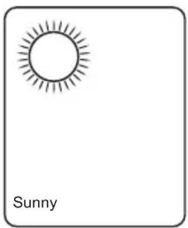 Sunny