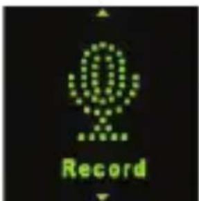 Record