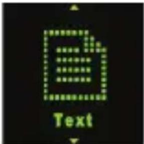 Text