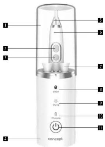 Concept Perfect Smile ZK4040 - OPIS PRODUKTU - 1