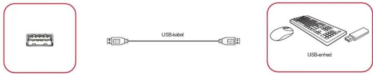 VIEWSONIC IFP5550-3 - Eksterne USB-enheder - 1