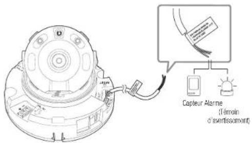 Capteur Alarme (Témoin d'aventissement)