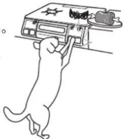 Paloma IC-N86BHA-R - ■ペット(犬や猫など)を室内で飼われている場合、コンロを使用しないときは操作ボタンをロックする、またはガス栓を閉める - 1