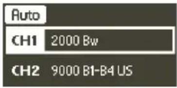 SENNHEISER EK 6042 - Gennemførelse af automatisk konfiguration (Auto) - 1