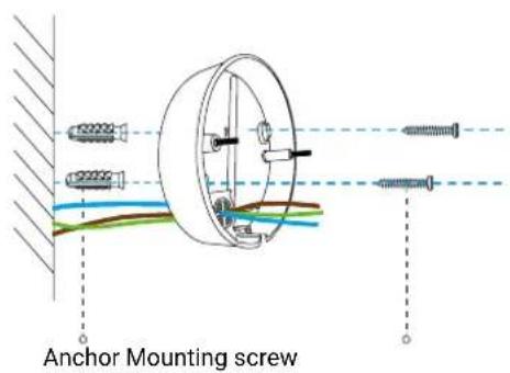 Anchor Mounting screw
