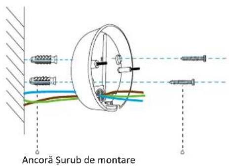 Ancoră Șurub de montare