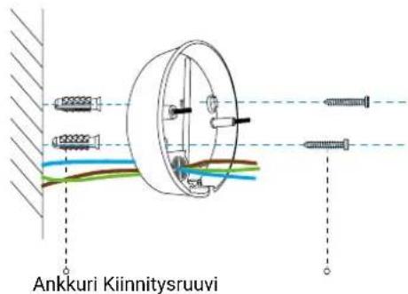 Ankkuri Kiinnitysruuvi