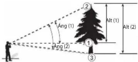 ② Alt (1) Alt (2) ① Ang (1) Ang (2) ③