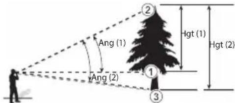 Ang (1) Ang (2) Hgt (1) Hgt (2)