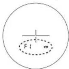 F v0