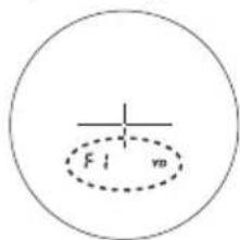 F v0
